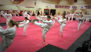 Martial Art World students training hard to achieve success