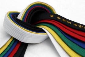 How a Martial Arts Instructor should read the colours of the Belts