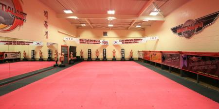 Adult Programmes (Why choose Martial Art World?)