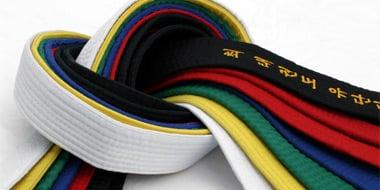 How an Instructor should read the colours of the Belts