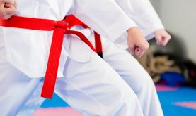 Martial Arts belt colours explained