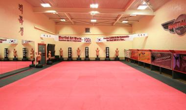 Schools & Corporate Programmes (Why choose Martial Art World?)